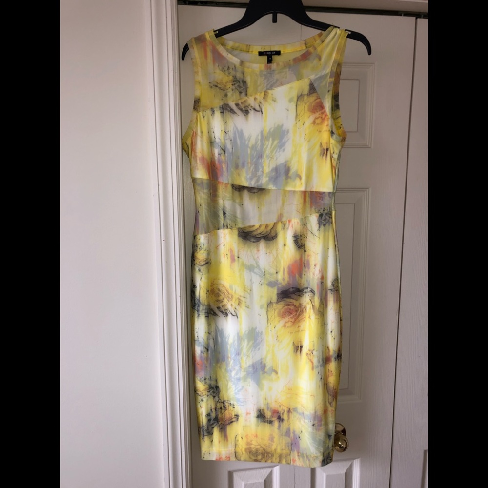 NWT Mesh Inserts Dress